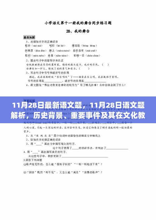 11月28日语文题解析，历史背景与文化教育中的地位揭示