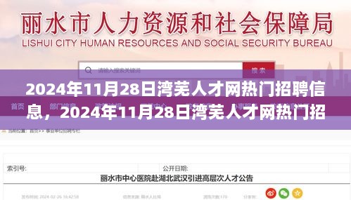 2024年11月28日湾芜人才网热门招聘信息解析