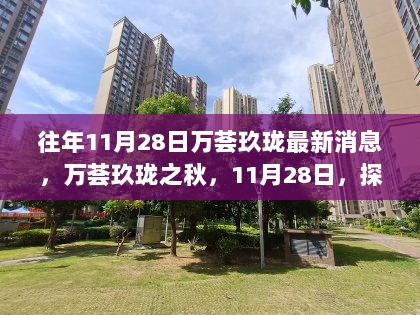 11月28日万荟玖珑秋日探索之旅，寻找自然美景，追寻内心平静的时刻