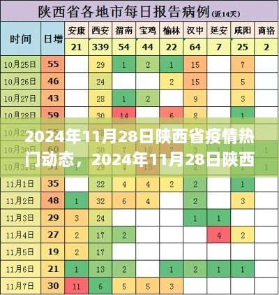 2024年11月28日陕西省疫情热门动态全面解析