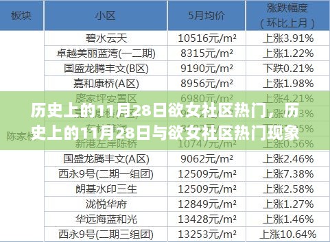 历史上的11月28日，欲女社区热门现象的深度解析