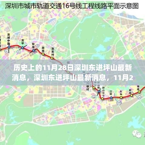 11月28日深圳东进坪山最新消息与用户体验全面解析特辑