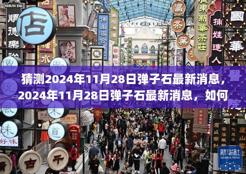 2024年11月28日弹子石最新消息，如何精准捕捉与分析城市发展动态的秘诀