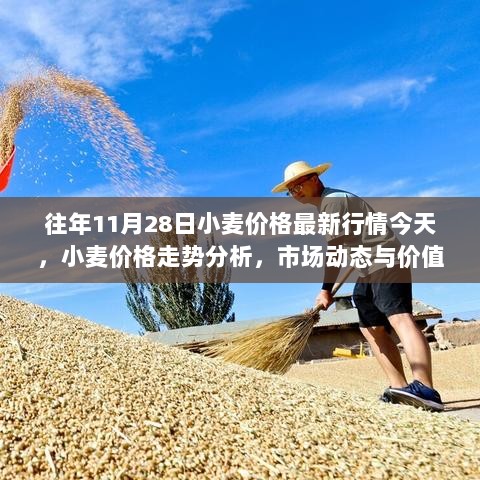 11月28日小麦价格走势分析与市场动态评估