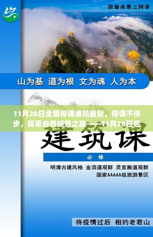 11月28日全面停课通知后，探索自然美景之旅的新旅程