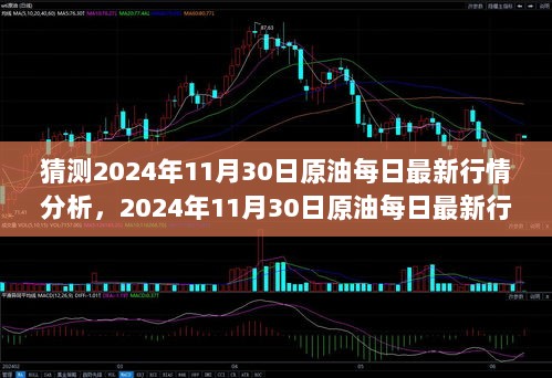 2024年11月30日原油市场行情分析与用户洞察，特性与体验的深度解析