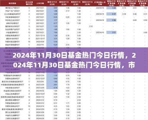 2024年11月30日基金热门行情与市场动态解析