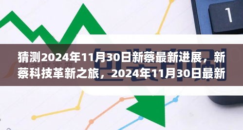 2024年11月30日新蔡科技革新之旅的最新进展揭秘