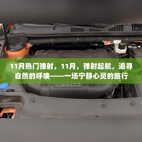 11月弹射之旅，追寻自然的呼唤，宁静心灵的旅行