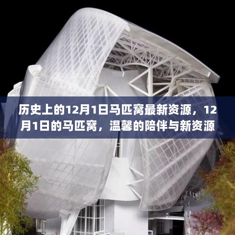 12月1日历史上的马匹窝，温馨陪伴与新资源探索的交汇点