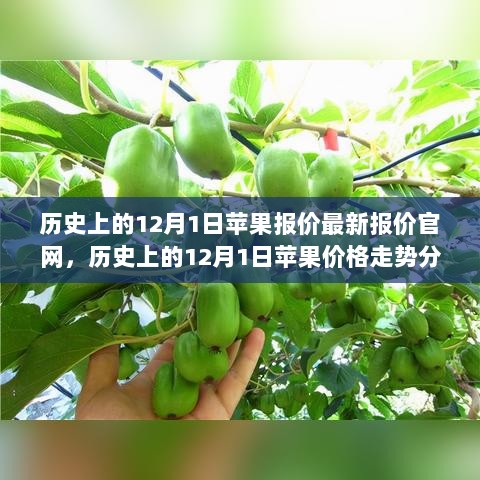 历史上的12月1日苹果报价及价格走势分析