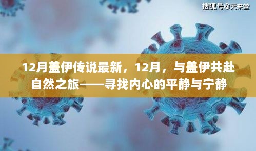 12月盖伊传说，寻找内心的平静与宁静的自然之旅