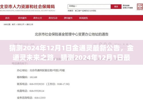 金通灵未来展望，2024年12月1日最新公告与自信成就的励志篇章