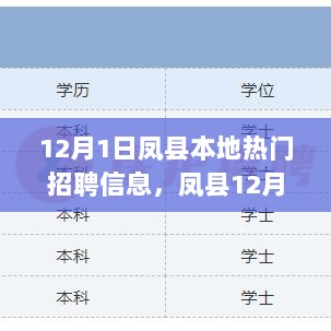 凤县12月1日热门招聘信息深度解析与思考，就业市场的动态与趋势