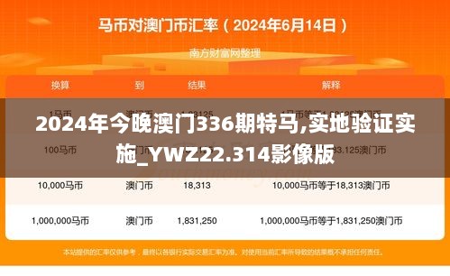 2024年今晚澳门336期特马,实地验证实施_YWZ22.314影像版