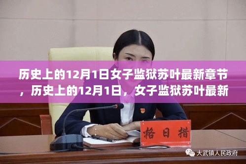 历史上的12月1日，女子监狱苏叶最新章节深度解析