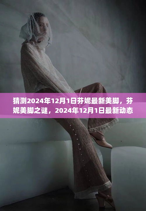 2024年12月1日，芬妮最新美脚之谜的遐想与动态追踪