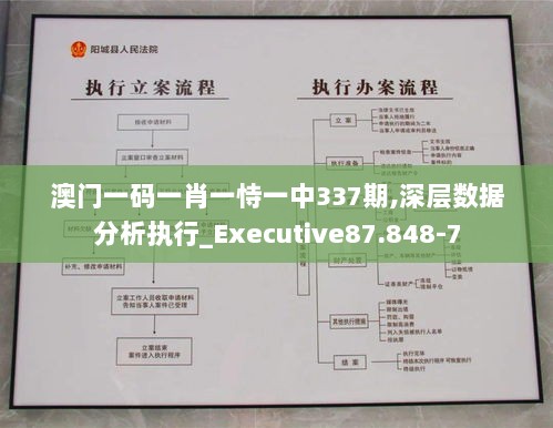 澳门一码一肖一恃一中337期,深层数据分析执行_Executive87.848-7