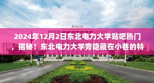 2024年12月2日东北电力大学贴吧热门揭秘，特色小店隐藏在小巷的秘密