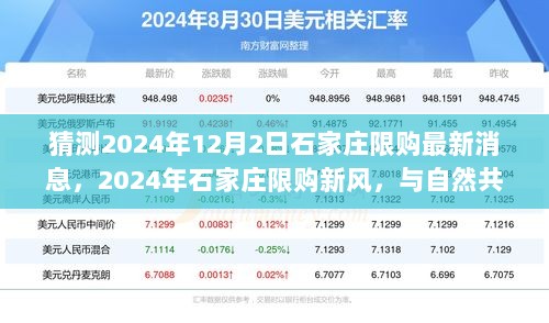 2024年石家庄限购新政策，与自然共舞的探索之旅标题版