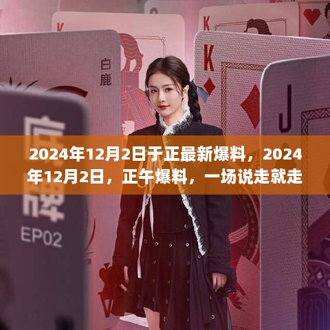 正午爆料，2024年12月2日，一场寻找内心平静与喜悦的自然之旅