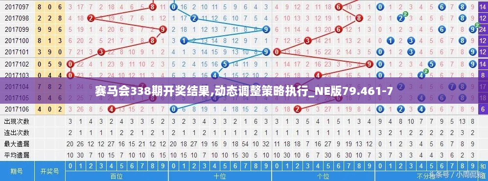 赛马会338期开奖结果,动态调整策略执行_NE版79.461-7