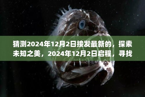 2024年12月2日，探索未知之美，启程寻找心灵宁静之地