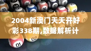 2004新澳门天天开好彩338期,数据解析计划导向_BT25.628-1