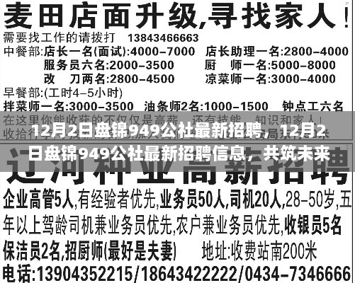 盘锦949公社12月2日最新招聘信息，共筑未来，诚邀英才