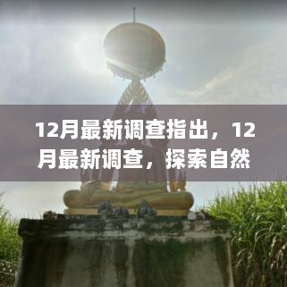 12月自然探索之旅，心灵之旅的探索之旅