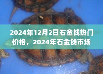 2024年石金钱市场行情分析与热门价格及投资趋势探讨