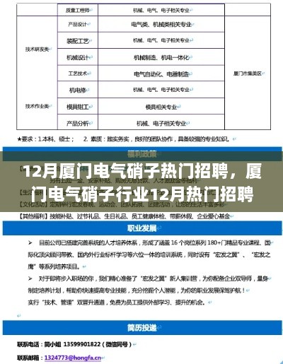 12月厦门电气硝子行业热门招聘解析