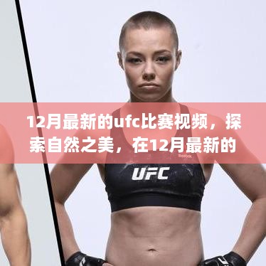 12月UFC战火重燃，探索自然之美与赛后内心的宁静之旅