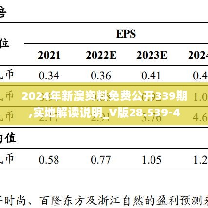 2024年新澳资料免费公开339期,实地解读说明_V版28.539-4