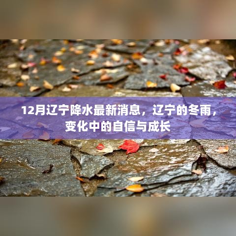 辽宁冬雨中的自信与成长，12月降水最新消息解读