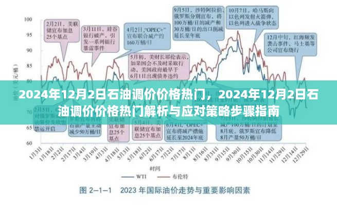 2024年12月2日石油调价价格热门解析与应对策略步骤指南