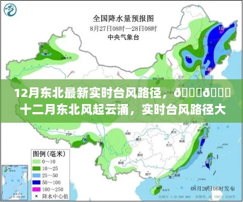 12月东北实时台风路径追踪大揭秘