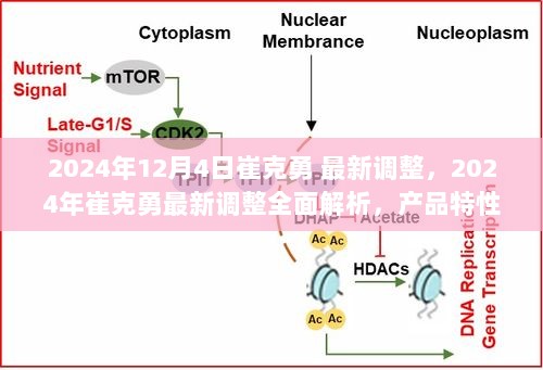 2024年崔克勇最新调整全面解析，产品特性、用户体验与市场对比