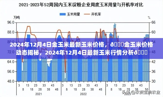 2024年12月4日金玉米最新价格行情揭秘与动态分析