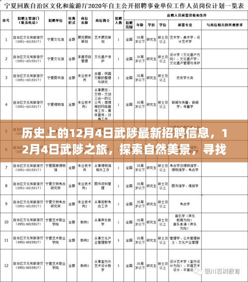 12月4日武陟，招聘信息与自然探索之旅，寻找内心的平静