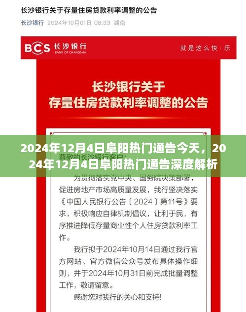 2024年12月4日阜阳热门通告深度解析