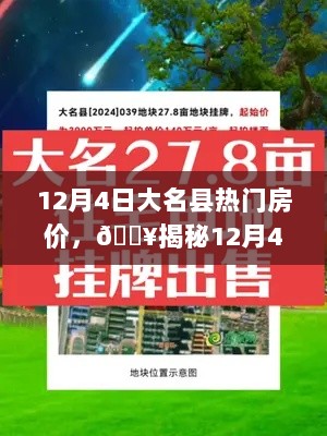 大名县12月4日热门房价揭秘，购房者必看！