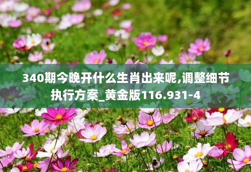 340期今晚开什么生肖出来呢,调整细节执行方案_黄金版116.931-4