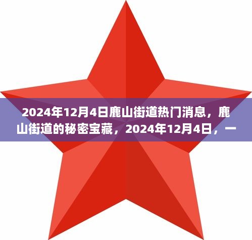 2024年鹿山街道自然探索之旅，寻找内心的平静与秘密宝藏