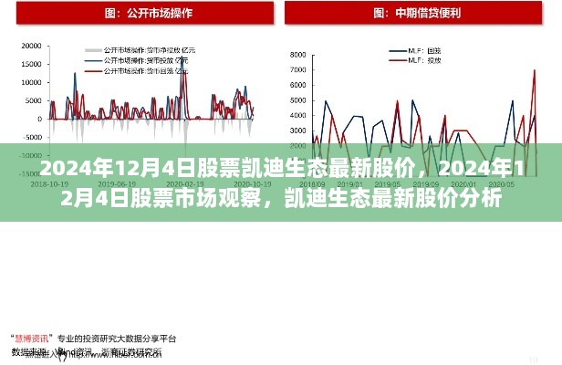 2024年12月4日凯迪生态股票最新股价分析及其市场观察