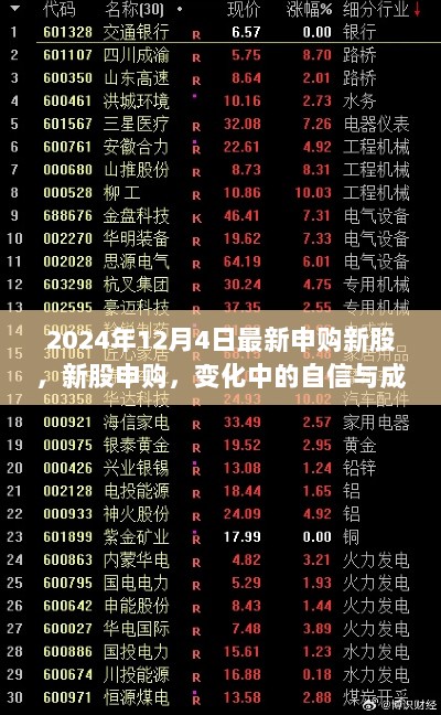 2024年12月4日，新股申购中的自信与成就的蜕变之路