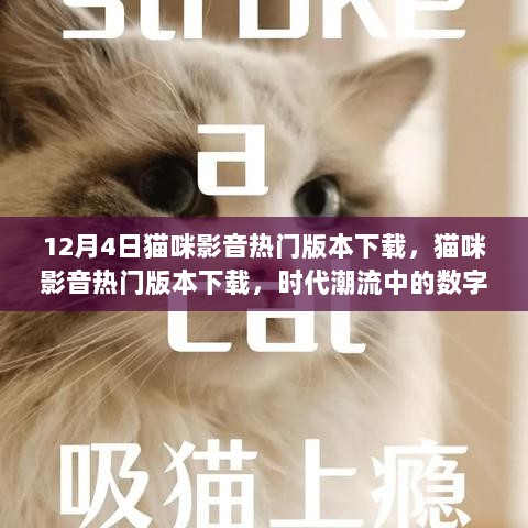 12月4日猫咪影音热门版本下载，数字时代的宠儿，引领潮流的影音体验