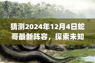 2024年12月4日蛇哥全新阵容，探索未知，寻找内心平静的旅程