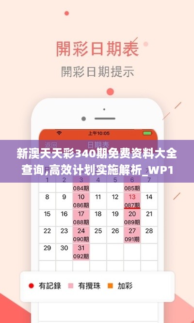 新澳天天彩340期免费资料大全查询,高效计划实施解析_WP19.299