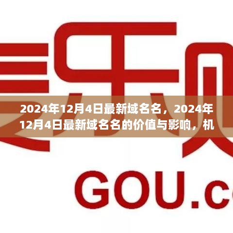 2024年12月4日最新域名名的价值与影响，机遇与挑战并存